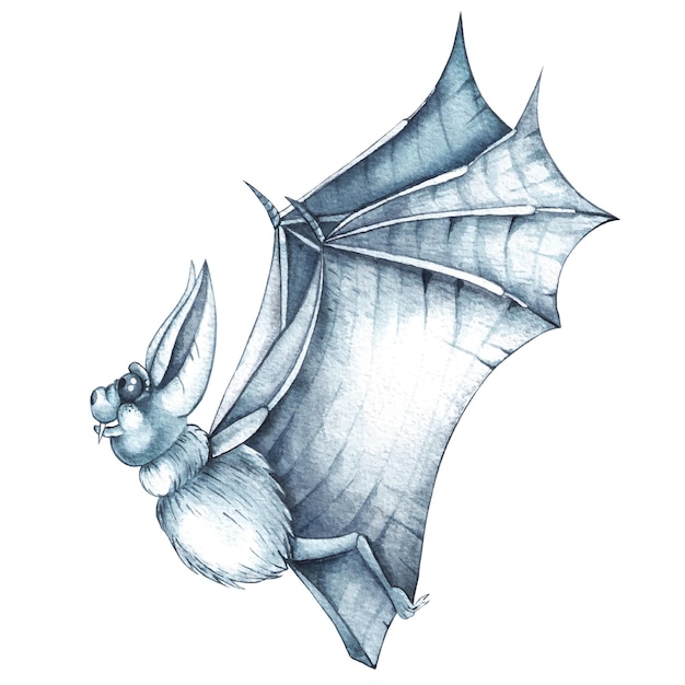 Watercolor bat on a white background