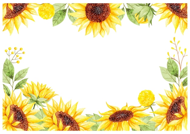 Watercolor   beautiful sunflower background