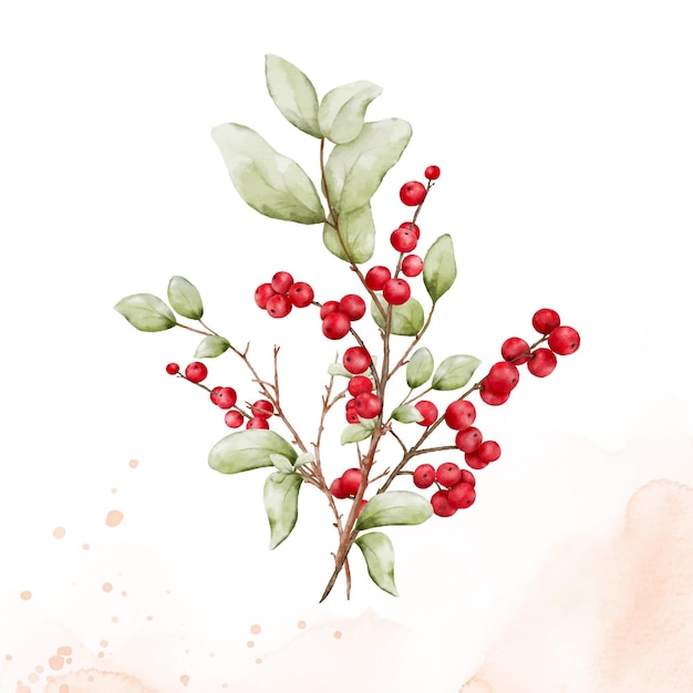 Watercolor berries branches on stain background