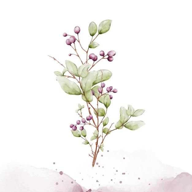 Watercolor berries branches on stain background