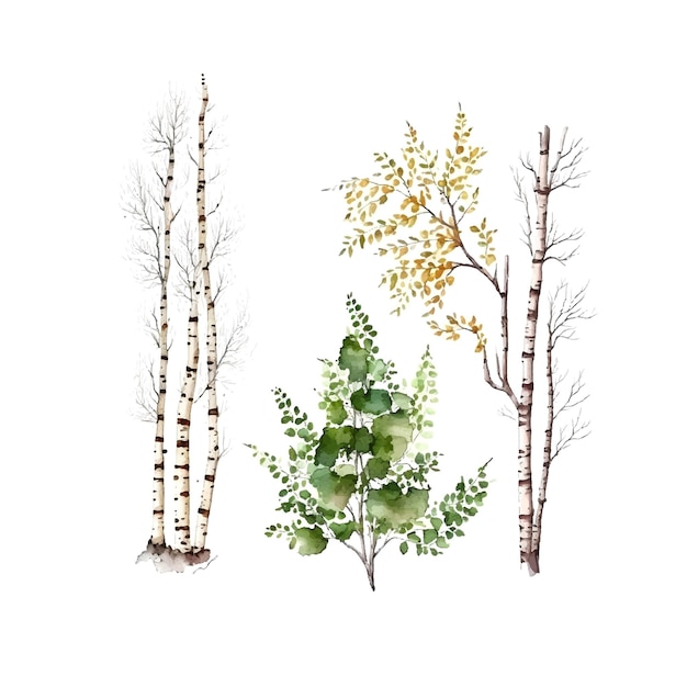 Watercolor birch trees Russia tree Design element for wallpapers web site background Vector illustration