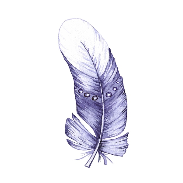 Watercolor Bird Feather