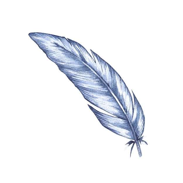 Watercolor Bird Feather