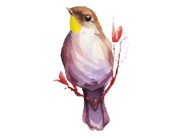 Watercolor bird and sparrow vector illustration Realistic hand drawn Painting