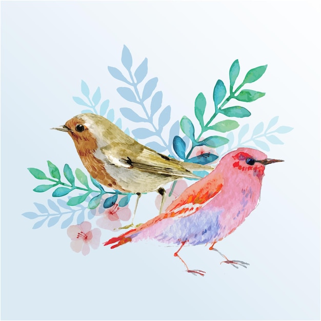 Vector watercolor birds with flowers green leaf vector background