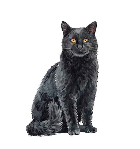 Watercolor black cat sitting. Paint watercolor cat.