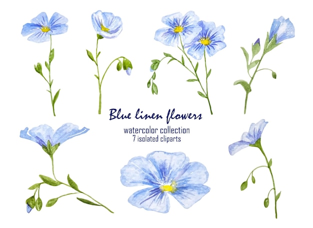 Watercolor blue flowers collection linen wild flowers cliparts for decor, stickers, design