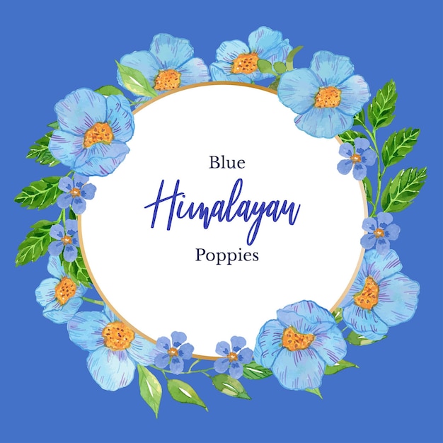 Watercolor Blue Himalayan Poppy Classic Frame Template