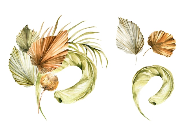 Watercolor boho bouquet tropical dried flowers palm leaves grass floral set for wedding cards