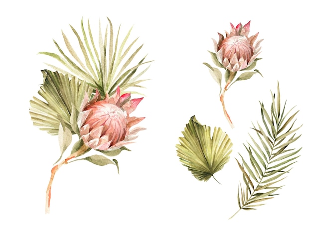 Watercolor boho bouquet tropical dried flowers palm leaves protea floral set for wedding cards