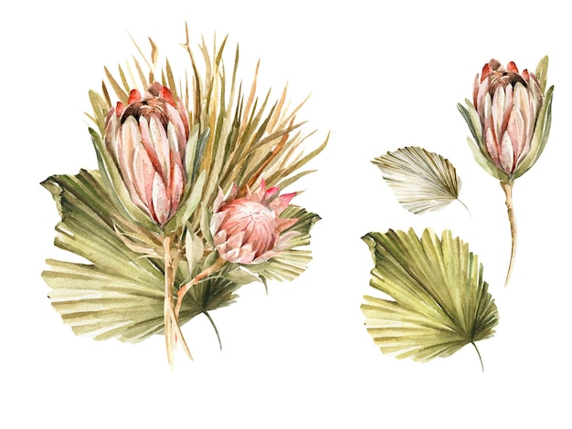 Watercolor boho bouquet tropical dried flowers palm leaves protea floral set for wedding cards