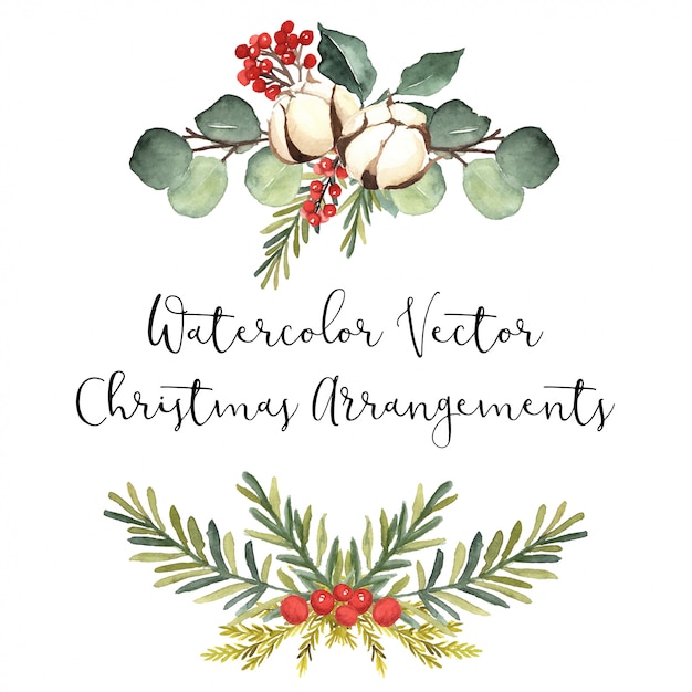 Vector watercolor botanical arrangements