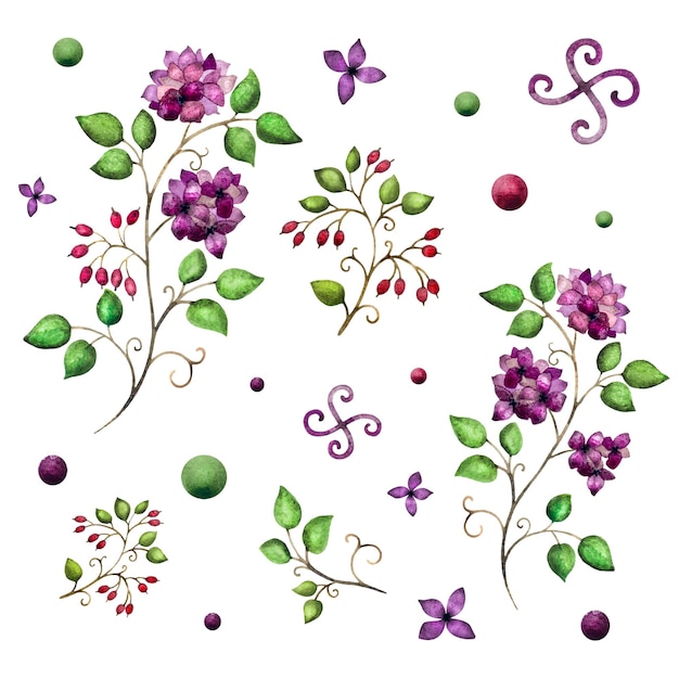 Watercolor botanical collection climbing plants purple flowers and red berries