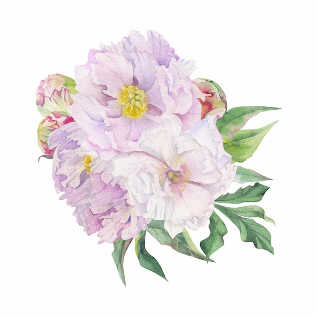 Watercolor bouquet arrangement with hand drawn delicate pink peony flowers buds and leaves Isolated on white background For invitations wedding love or greeting cards paper print textile