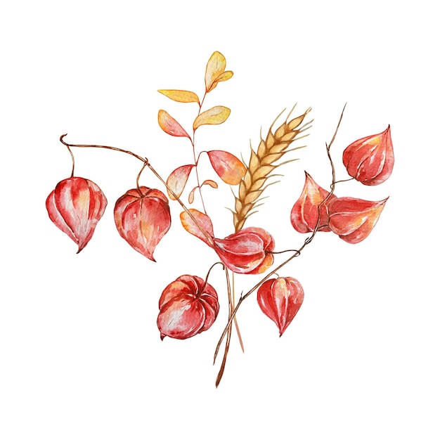 Watercolor bouquet botanical illustration composition from flowers and autumn leaves