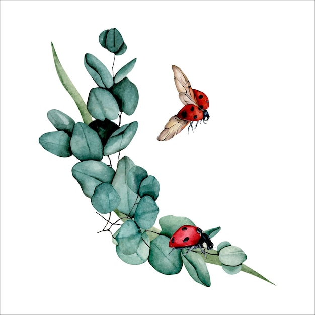 Watercolor bouquet of eucalyptus and ladybugs