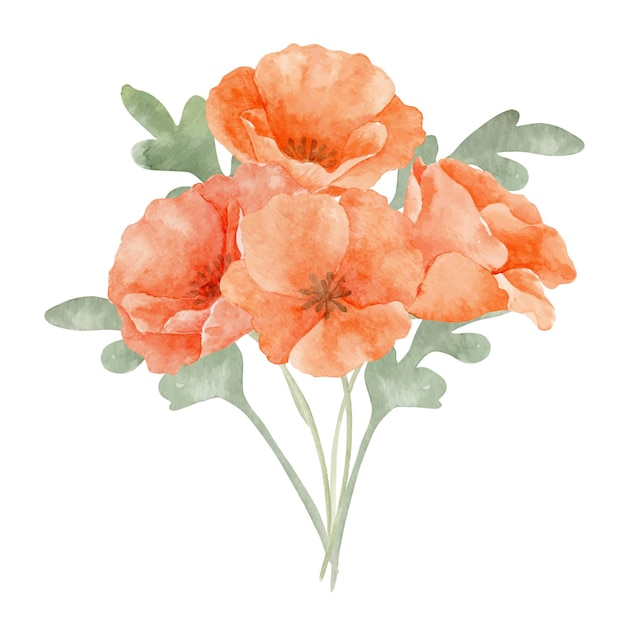 Watercolor bouquet of floral peach botanic poppies and leaves