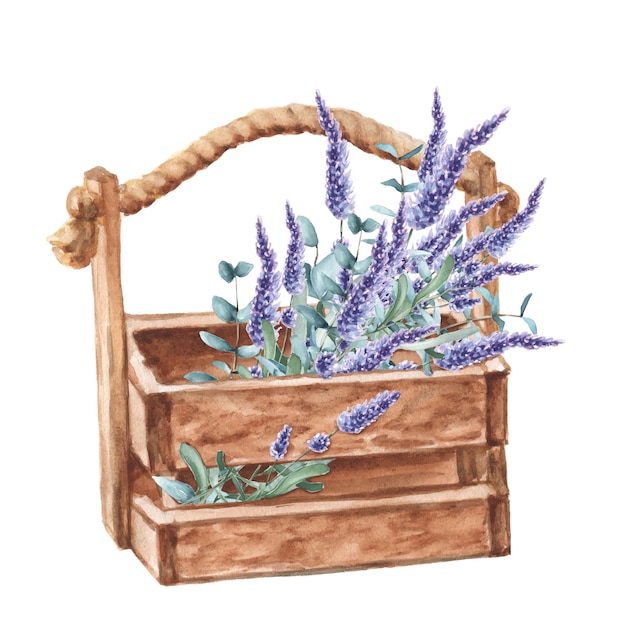 Watercolor bouquet of lavender in a wooden box