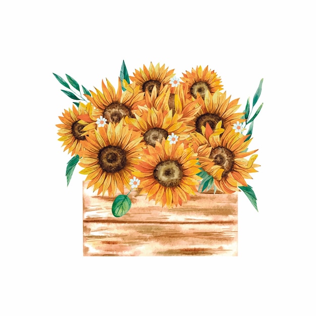 Watercolor bouquet of sunflowers in a wooden box Summer garden decor isolated on white