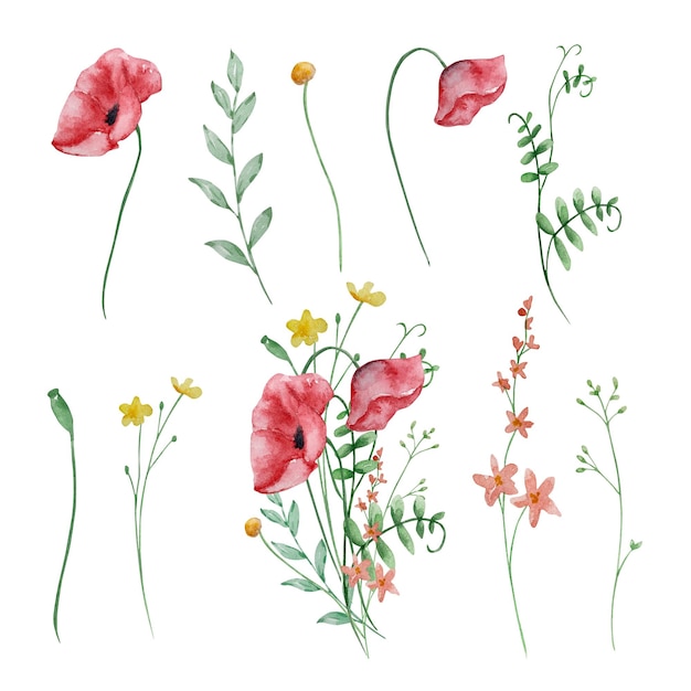 Watercolor bouquet of wildflowers illustration for cards and invitations