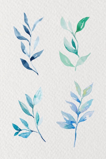 Watercolor branch design element vector