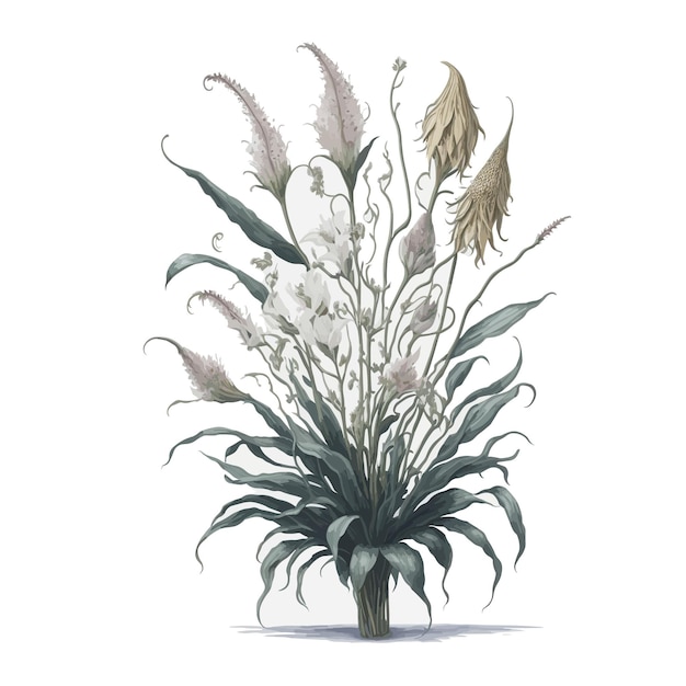 Watercolor Bulbophyllum Clipart Floral Vector