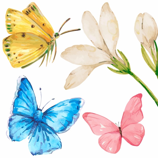 watercolor butterfly and flower illustration