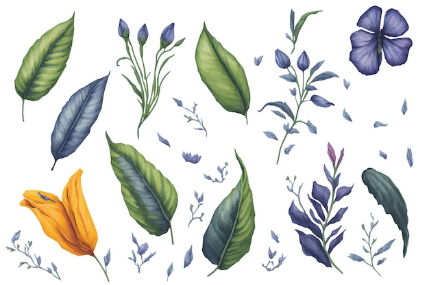 Watercolor butterfly pea and leaves Clipart Set Realistic Floral Illustrations