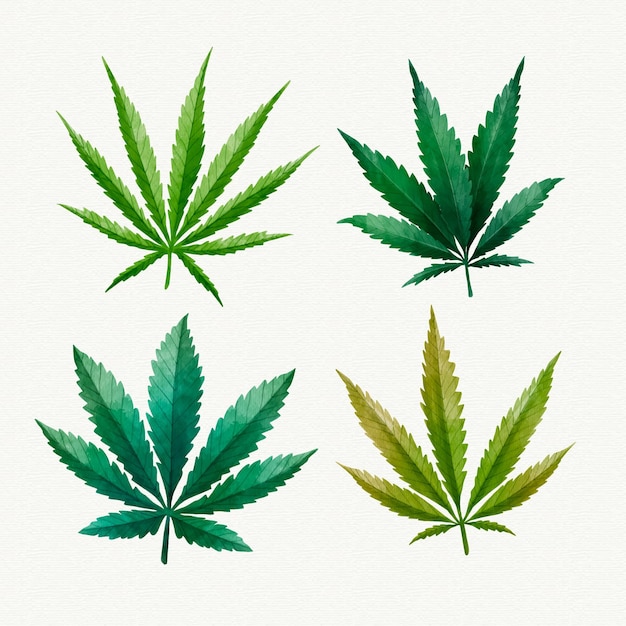 Watercolor cannabis leaves set