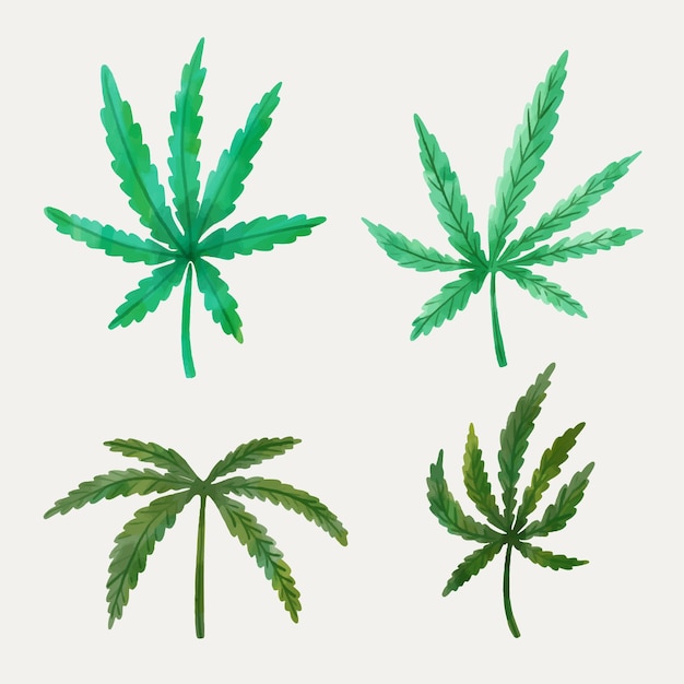 Watercolor cannabis leaves