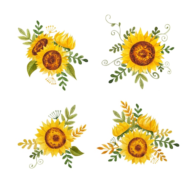 Watercolor cartoon simple sunflowers arrangements