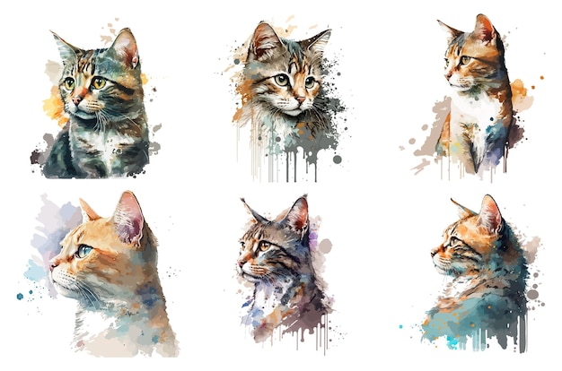 watercolor cat vector illustration tshirt print