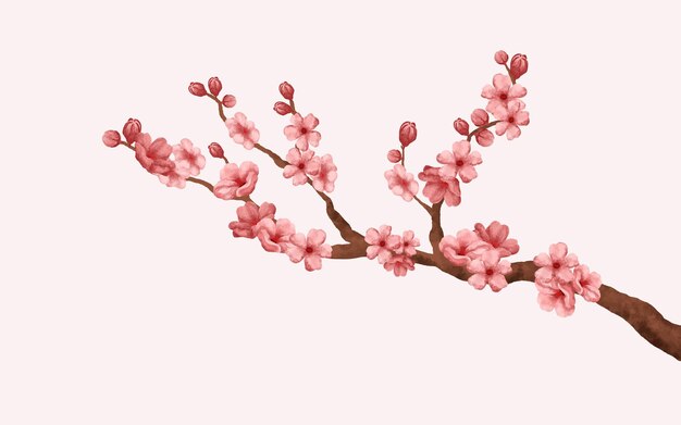 Vector watercolor cherry blossom vector. cherry blossom branch with sakura flower