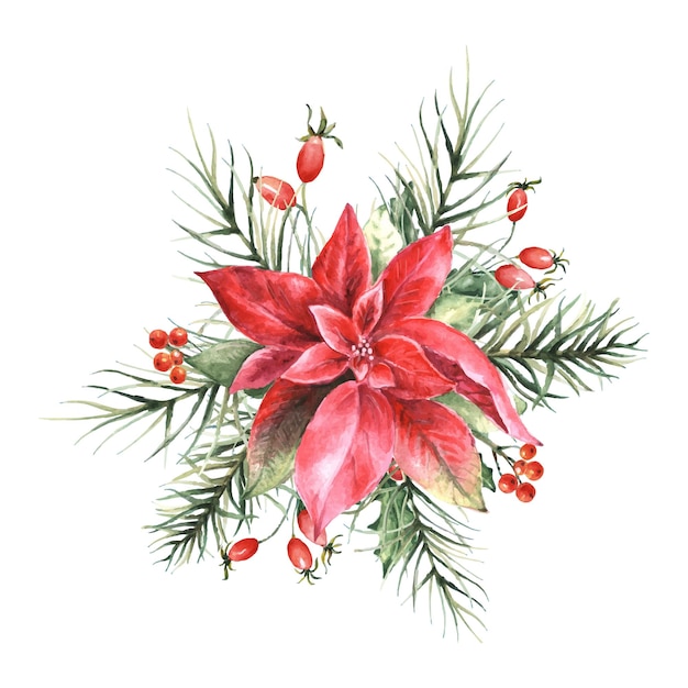 Watercolor christmas arrangement with red poinsettia and fir branches.