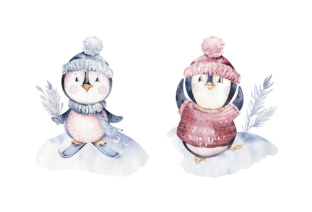 Watercolor christmas character penguin illustration Winter cartoon cute funny animal holiday xmas