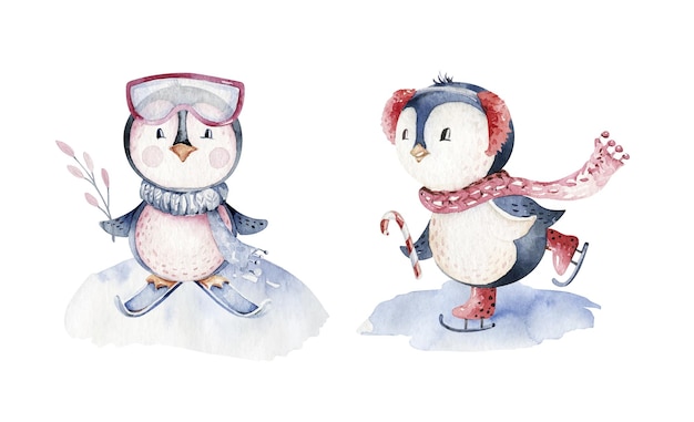 Watercolor christmas character penguin illustration Winter cartoon cute funny animal holiday xmas