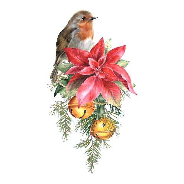 Watercolor christmas composition with robin bird and poinsettia