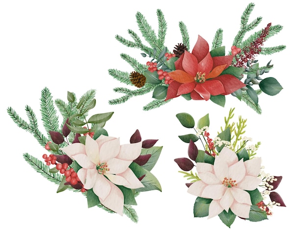 Watercolor christmas flower arrangement. Red flower plant. Hand drawn winter bouquets.