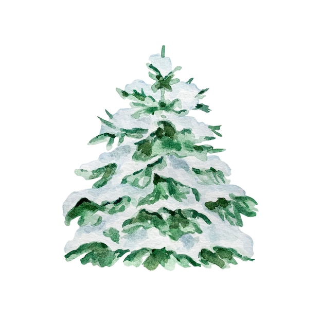 Watercolor Christmas illustration of green fir tree with snow isolated on white background.