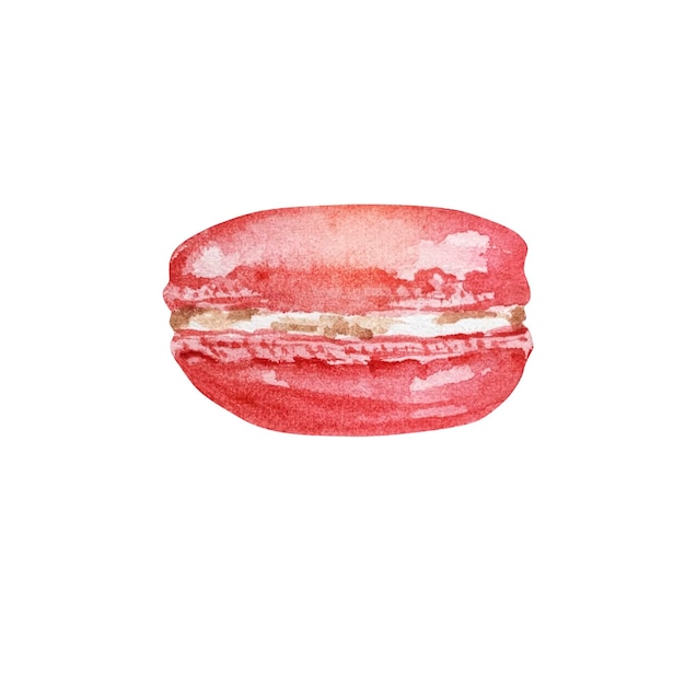 Watercolor Christmas illustration of red macaroon isolated on white background