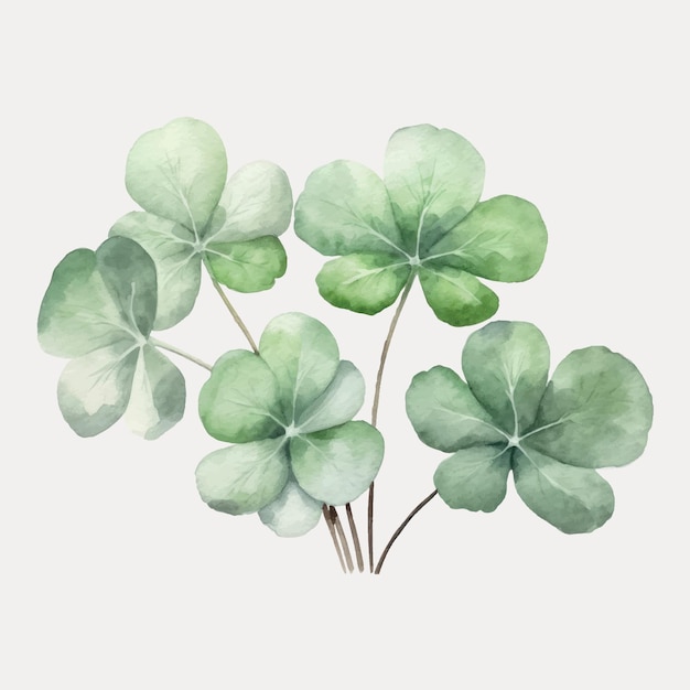 Watercolor clover leaves illustration