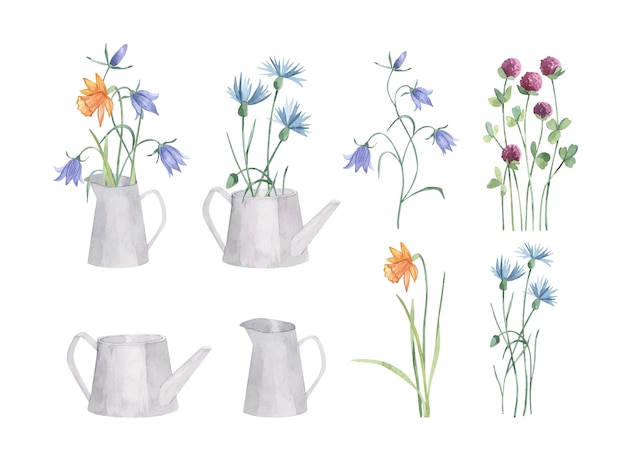 Watercolor collection wild herbs flowers in watering can and jug Hand drawn botanical flowers