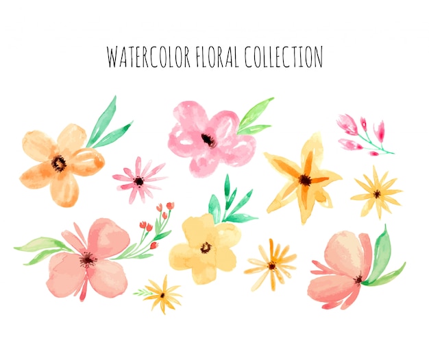 Watercolor Colorful Flowers Collection