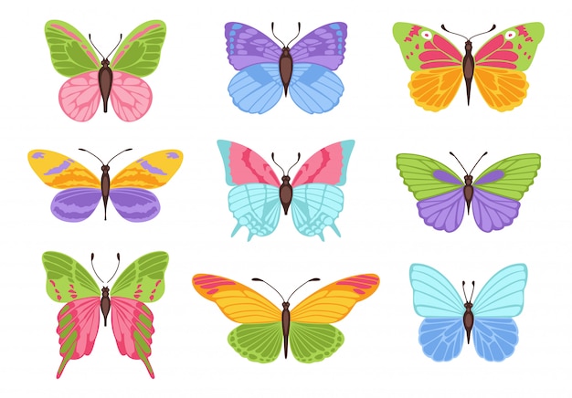 Watercolor colors butterflies isolated. Pretty vector butterfly 