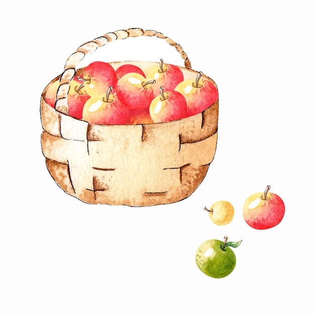 Watercolor composition basket with apples