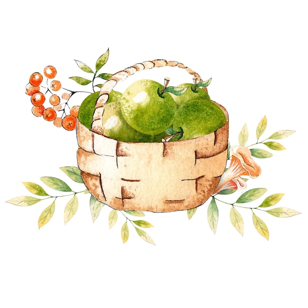 Watercolor composition basket with apples