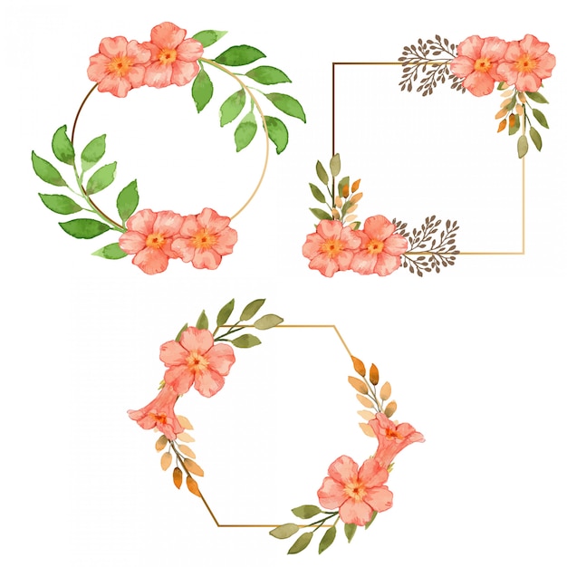 Watercolor Coral Trumpet Vine Flower Flower Round Frame Template Set