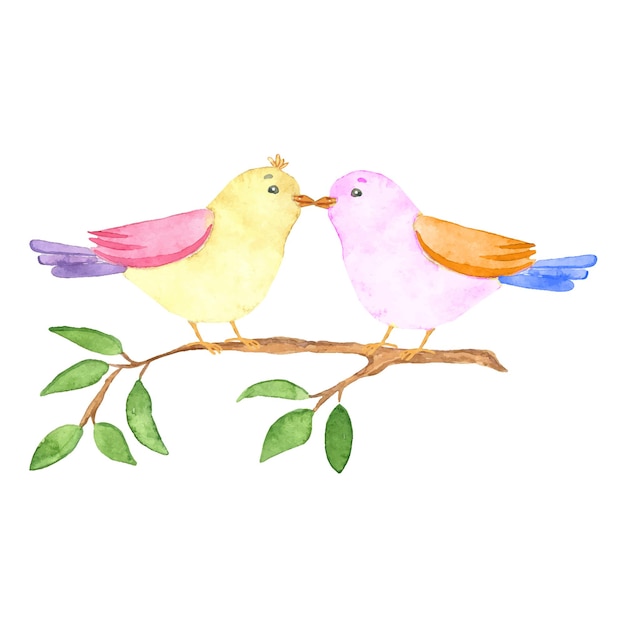 Watercolor couple of love birds on branch