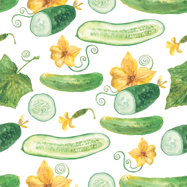 Watercolor Cucumber pattern on white. Vector illustration