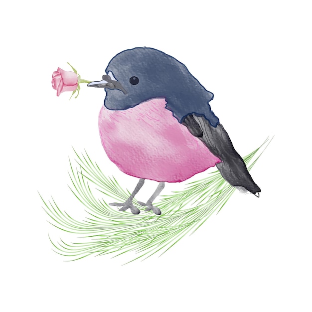 Watercolor cute Bird hand drawn illustration